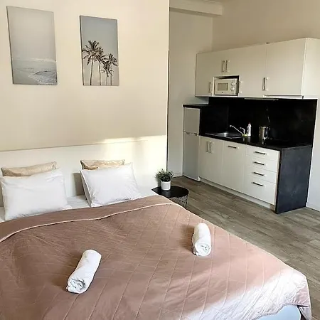Parkside In Vinohrady Апартаменты Прага